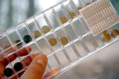 Biopuces-pour-le-diagnostic-de-pathologies-500x332-1