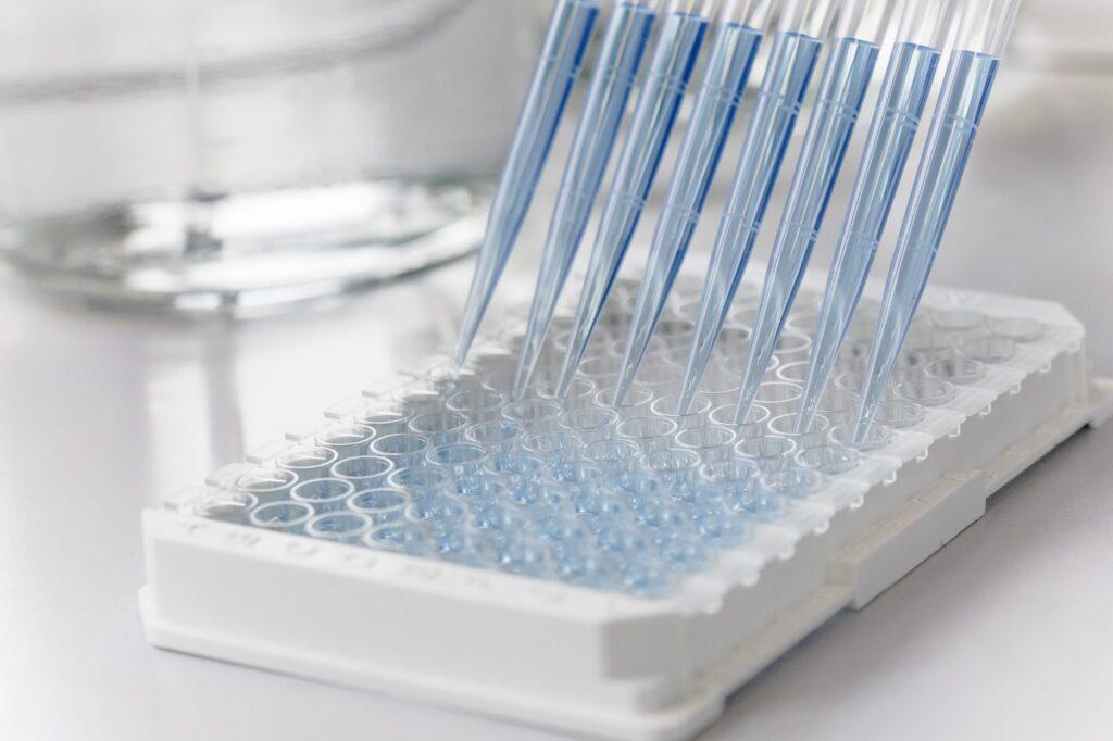 svce elisa4-2000pix